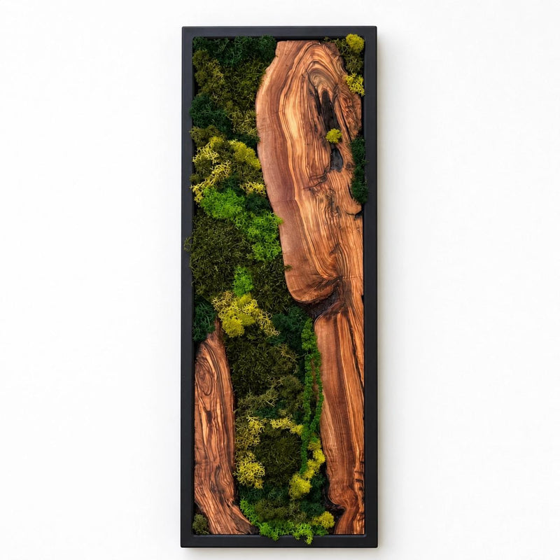 Olive Wood Moss Wall Art | Preserved Nature Decor, Boho Rustic Style
