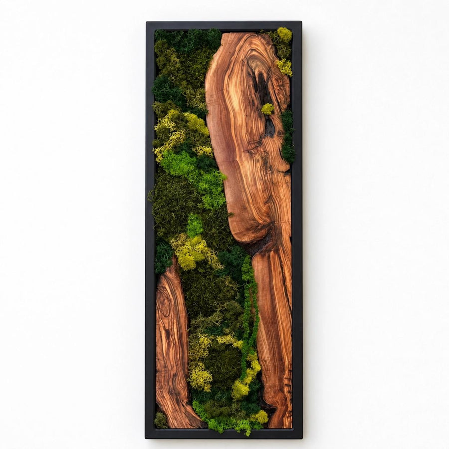 Olive Wood Moss Wall Art | Preserved Nature Decor, Boho Rustic Style