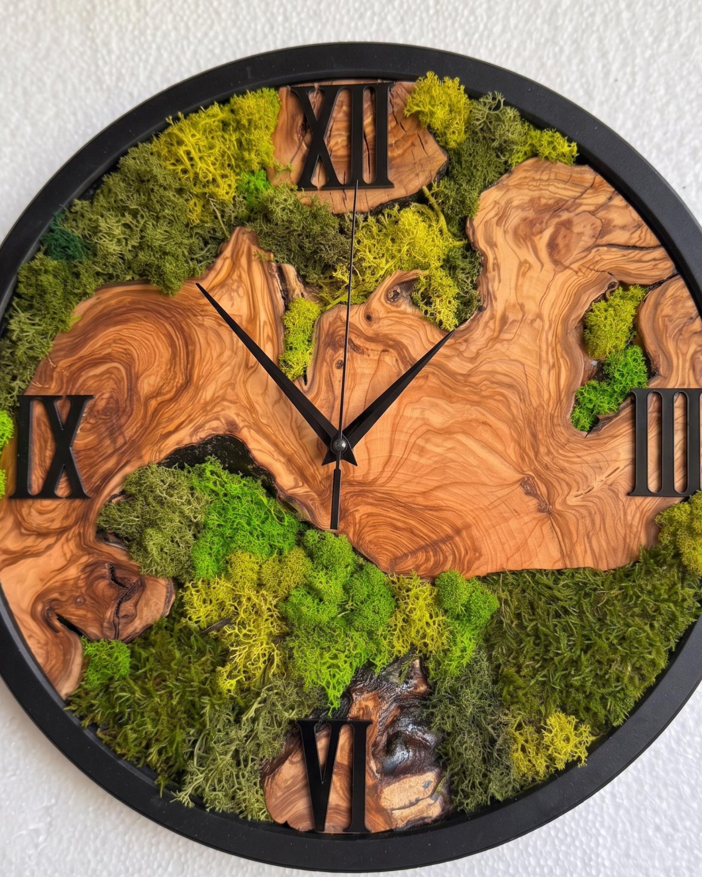 Live Edge Olive Wood Clock with Preserved Moss | Rustic Botanical Wall Art