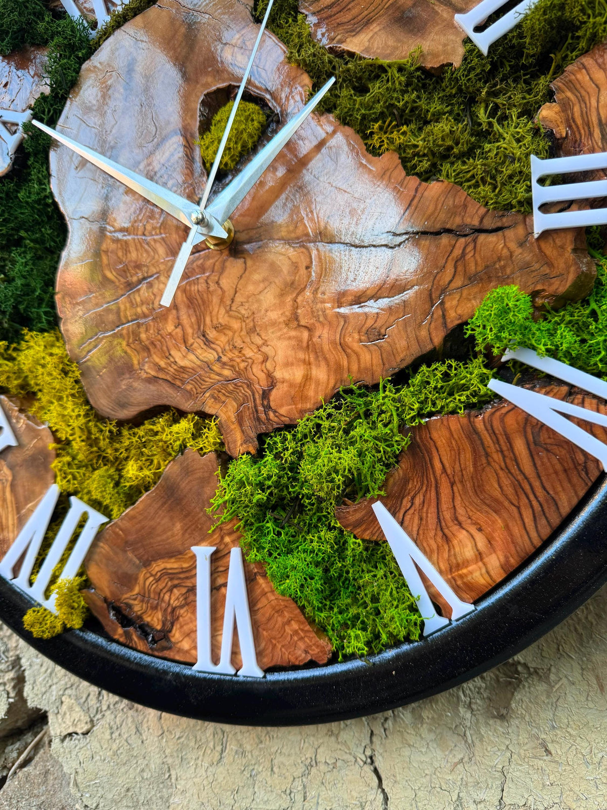 Size comparison chart for the olive wood Roman numeral moss clock