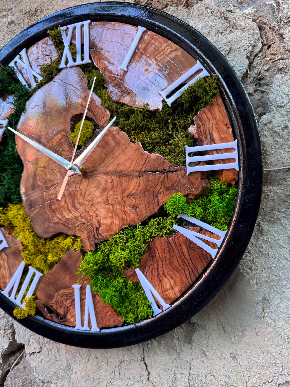 Olive wood Roman numeral clock on a dark accent wall as a biophilic focal point