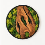 Olive Wood Moss Wall Art – Handmade Round Preserved Moss & Olive Wood Slice Decor | Living Wall Art