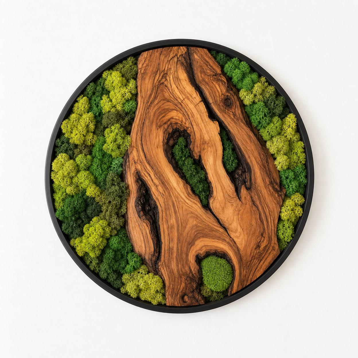 Olive Wood Moss Wall Art – Handmade Round Preserved Moss & Olive Wood Slice Decor | Living Wall Art