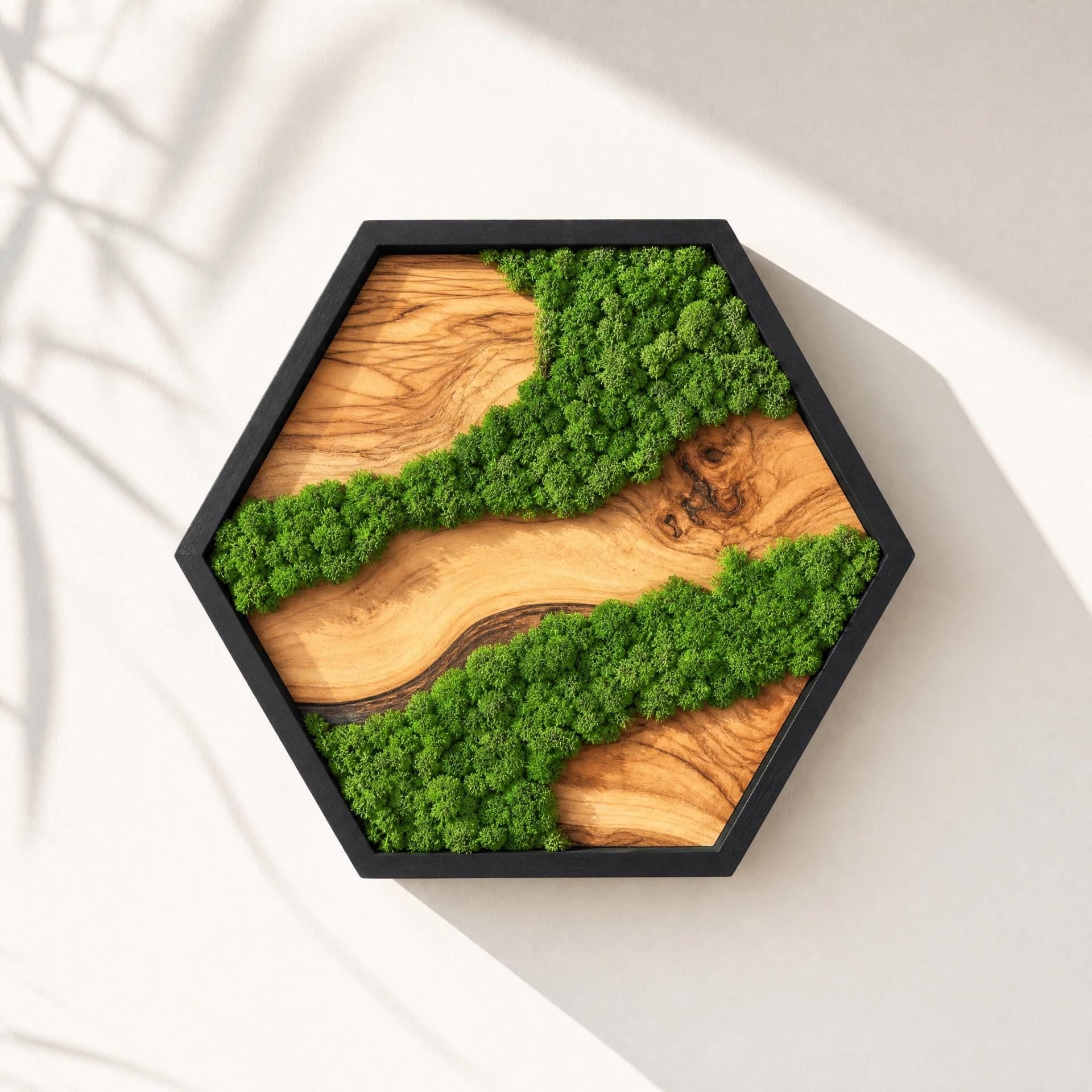 Hexagon Moss & Olive Wood Wall Art | Preserved Moss Wall Decor | Handmade Nature Art