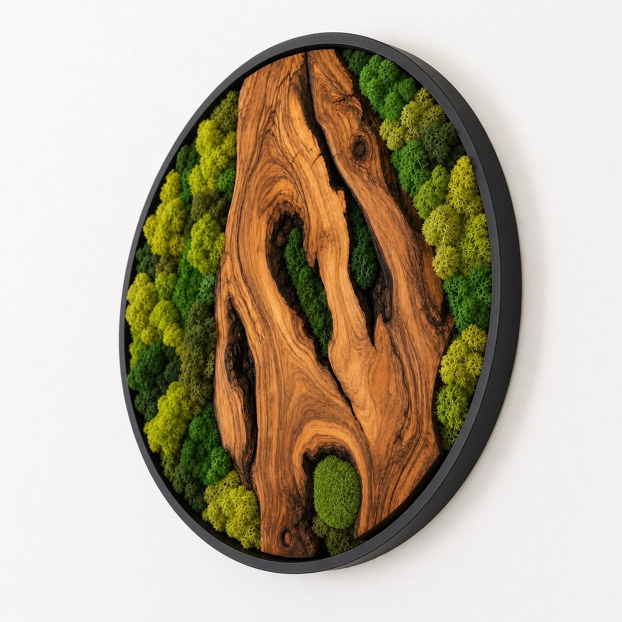 Olive Wood Moss Wall Art – Handmade Round Preserved Moss & Olive Wood Slice Decor | Living Wall Art