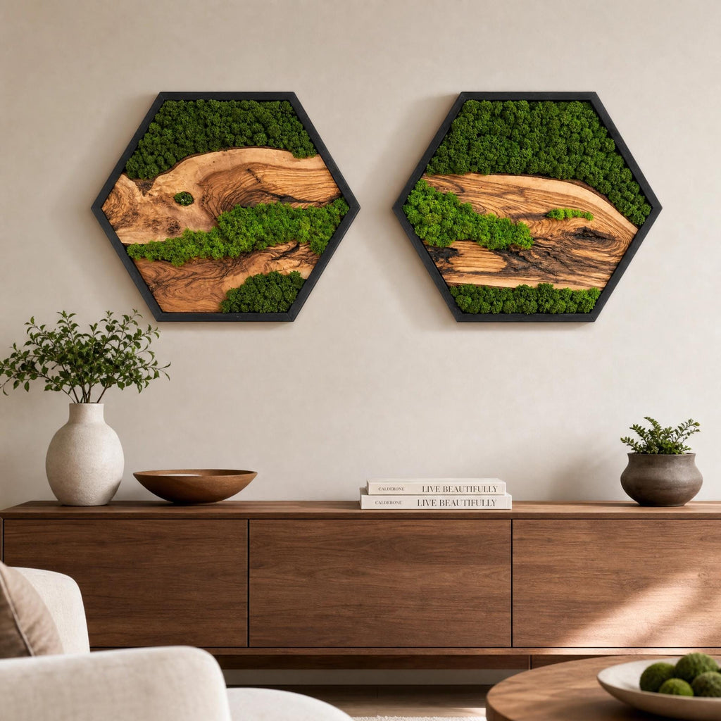 Hexagon Moss & Olive Wood Wall Art | Preserved Moss Wall Decor | Handmade Nature Art