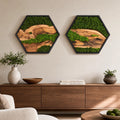 Hexagon Moss & Olive Wood Wall Art | Preserved Moss Wall Decor | Handmade Nature Art