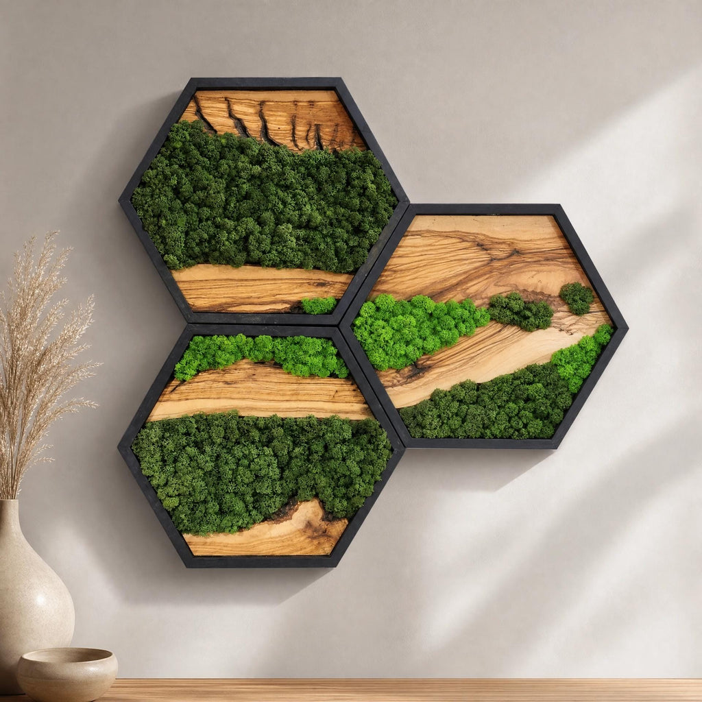 Hexagon Moss & Olive Wood Wall Art | Preserved Moss Wall Decor | Handmade Nature Art
