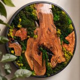Round moss wall art with preserved green moss and a live edge olive wood circular frame
