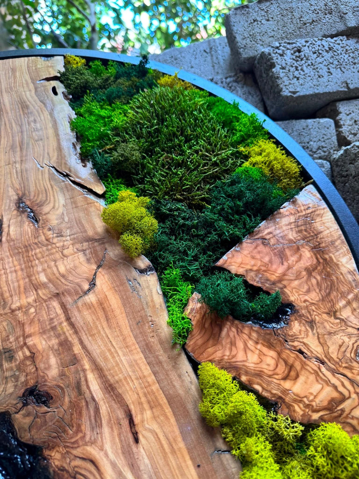 Size comparison chart for the circular moss wall art