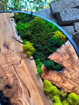 Size comparison chart for the circular moss wall art
