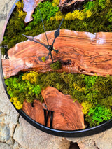 Preserved moss clock detail on olive wood