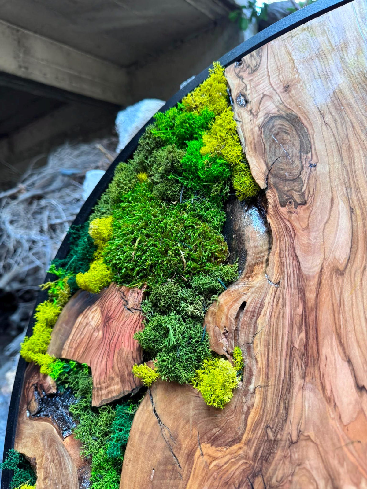 Back of the round moss wall art showing hanging hardware and handcrafted olive wood construction