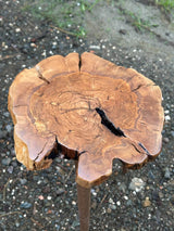 Live edge olive wood round table showing natural bark edge