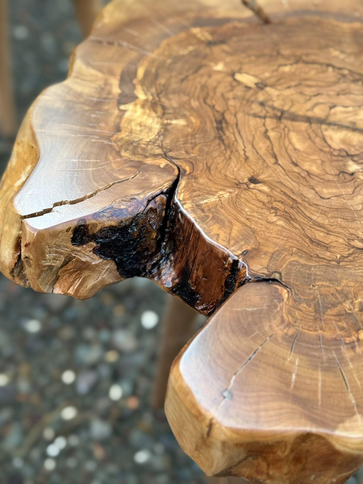 Side profile of the live edge olive tree table